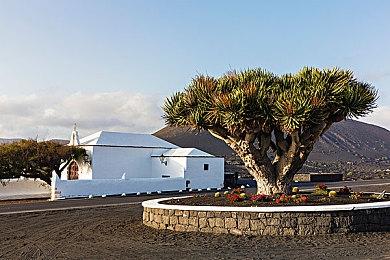 《街头霸王6》玛丽莎角色指南 6月2日正式发售